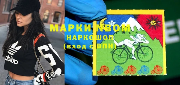 стаф Карпинск